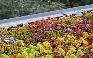 the cost of Yorkhill green roof installation