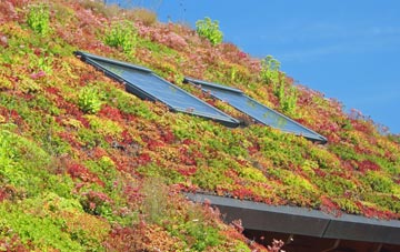 Yorkhill living roof systems