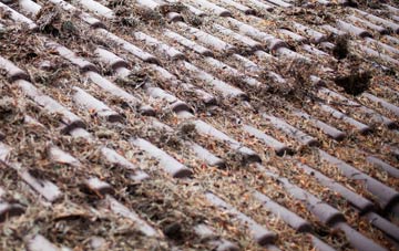 Yorkhill roof cleaning companies